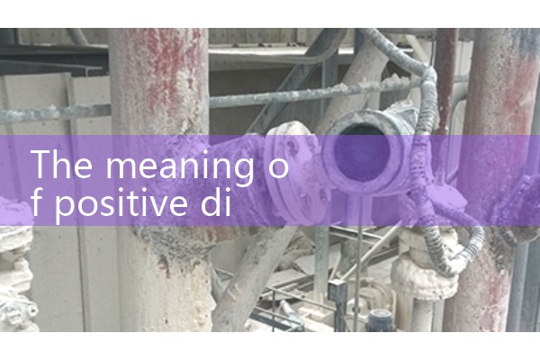 positive displacement flow meter